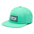 Making Waves Heritage Tech Hat, Parakeet